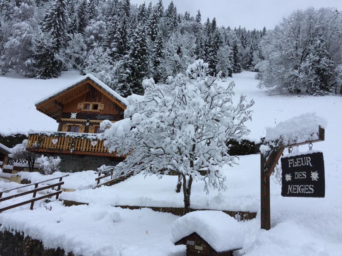 Chalet Fleur Des Neiges Saint-Jean-d'Aulps Luaran gambar
