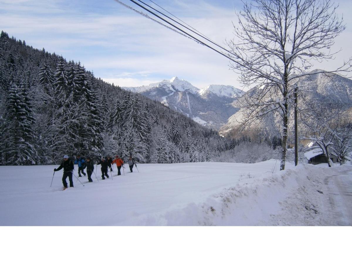 Chalet Fleur Des Neiges Saint-Jean-d'Aulps Luaran gambar